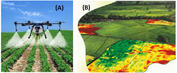 Secret Agricultural Technology Suppressed by Authorities Revealed