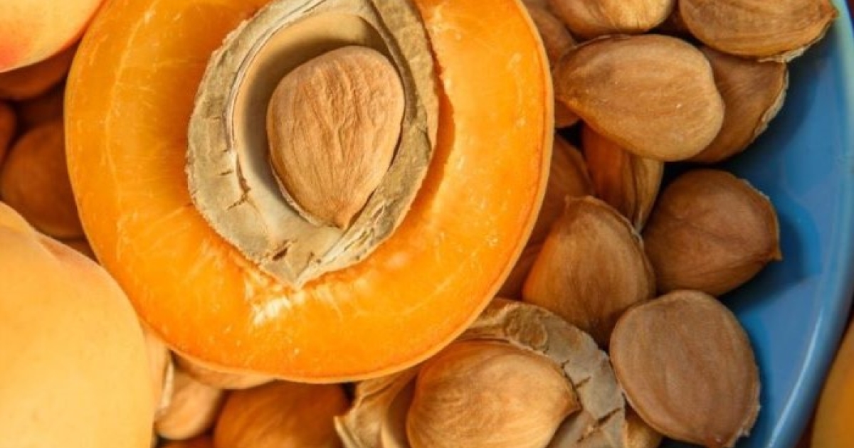 The Hidden Battle Over Apricot Seeds: A Controversial Legacy in Cancer Treatment