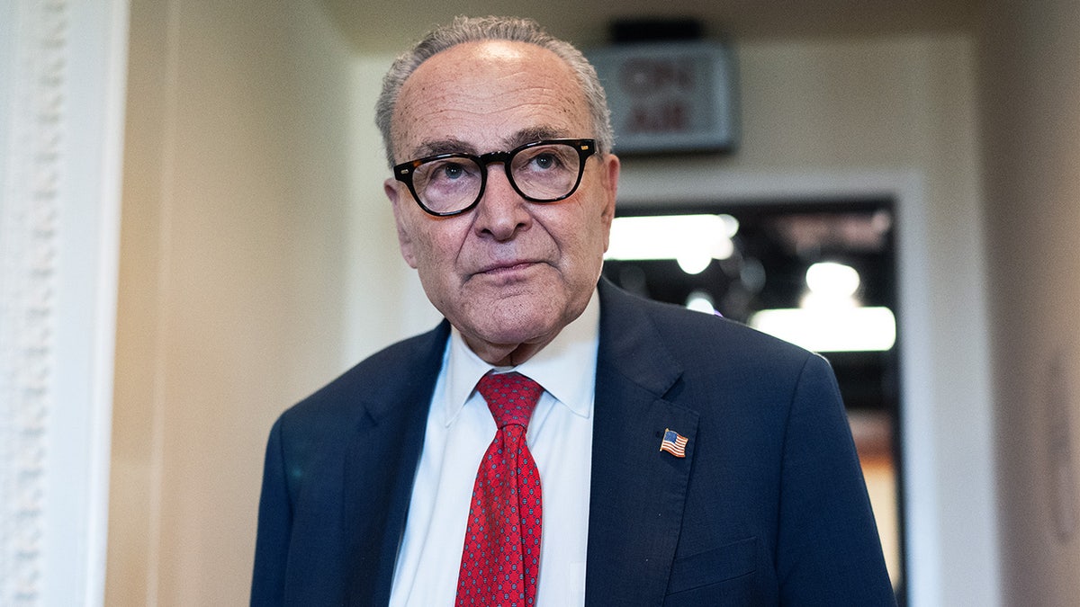 Democratic Leadership Crisis: Chuck Schumer Faces Pressure to Step Down