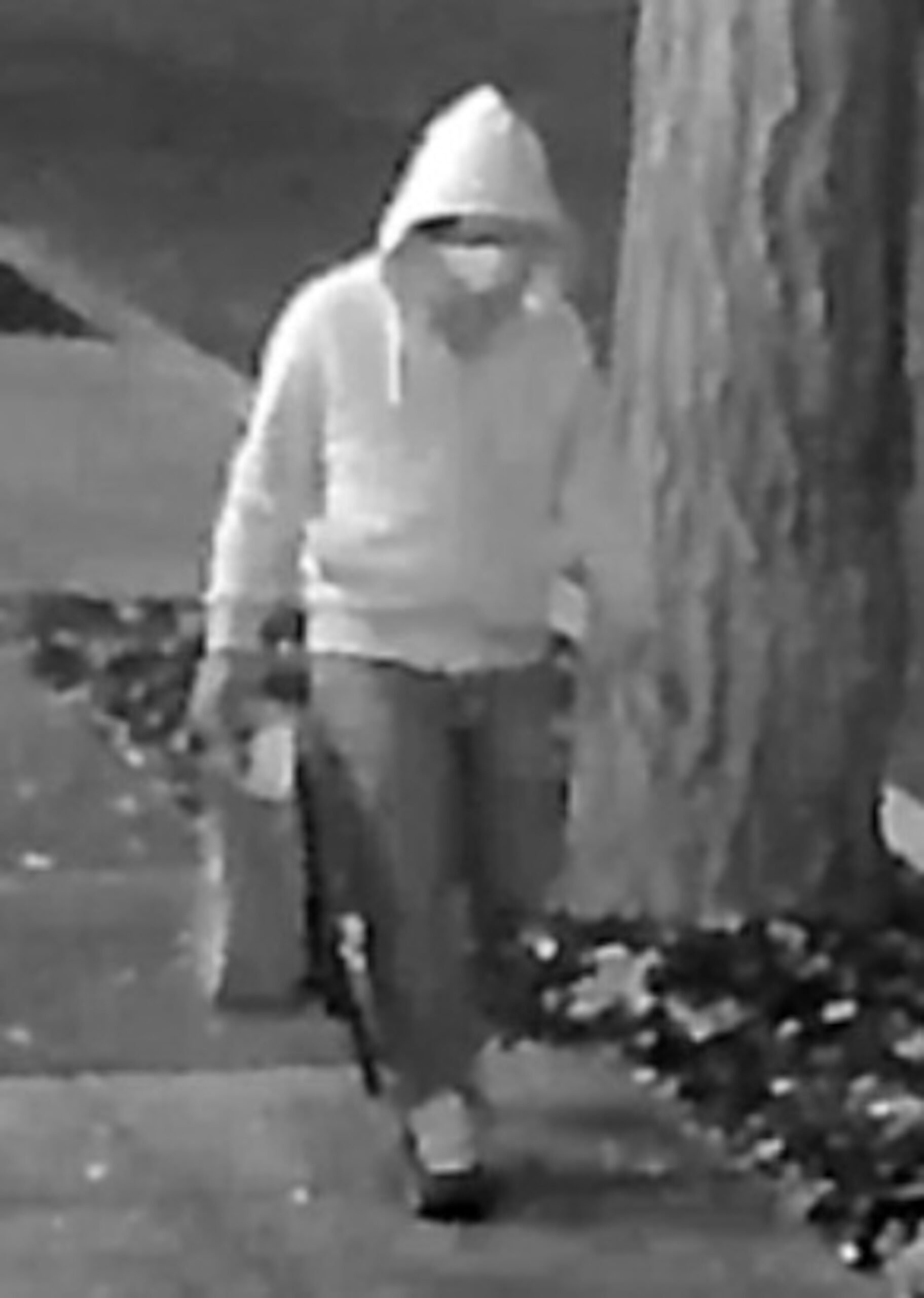 FBI Identifies J6 Pipe Bomber: Bail Bondsman Accused of Plotting Attack Weeks Before Capitol Riot