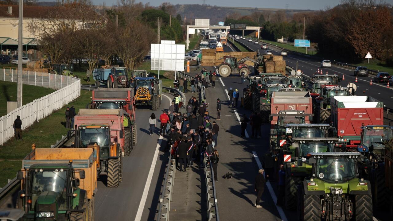 French Farmers Stage Blockades Against Mandatory Cattle Vaccination for Lumpy Skin Disease
