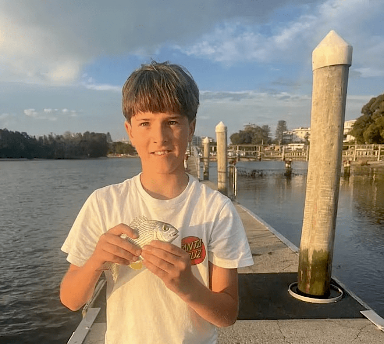 Tragedy Strikes Sydney Harbor as Bull Shark Attack Claims Life of 12-Year-Old