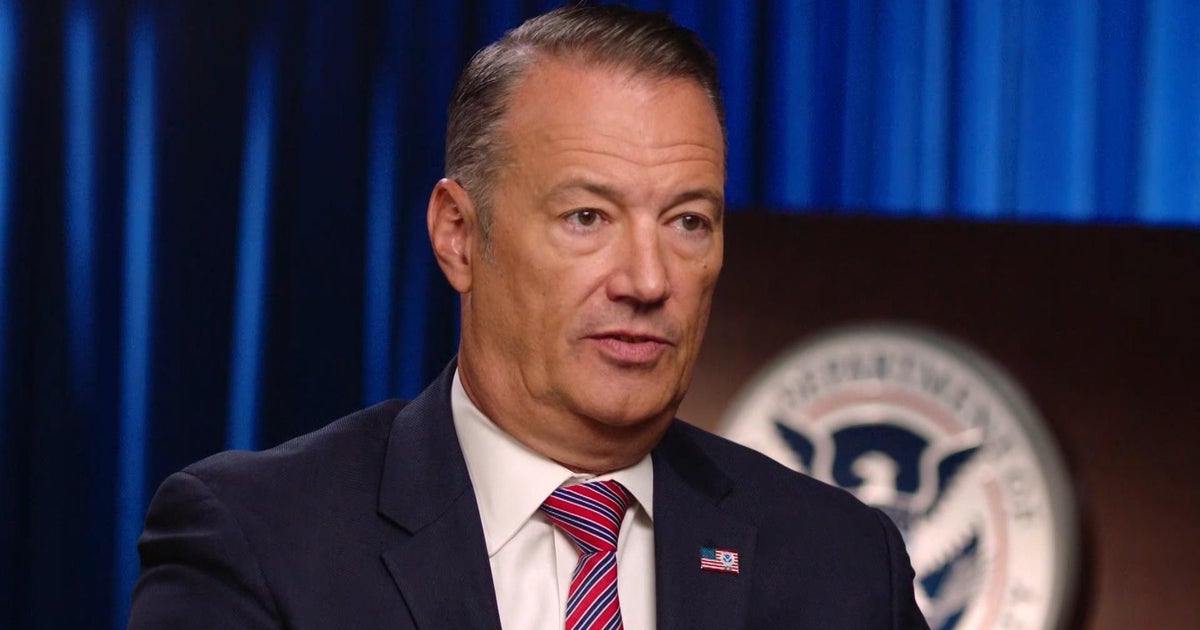 ICE Director Todd Lyons Steps Down as Agency Faces Leadership Vacuum