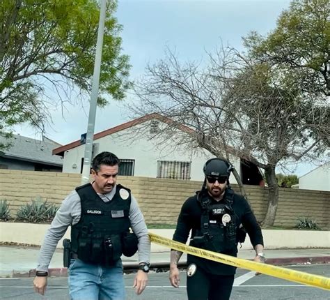LAPD Detectives Track Down Robbery Network Targeting Westside Luxury Boutiques