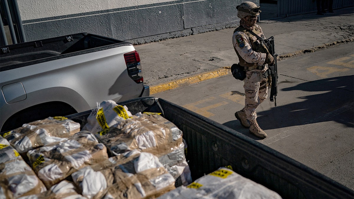 Ukraine’s Corruption Fuels Drug Trade with Mexican Cartels, SVR Warns